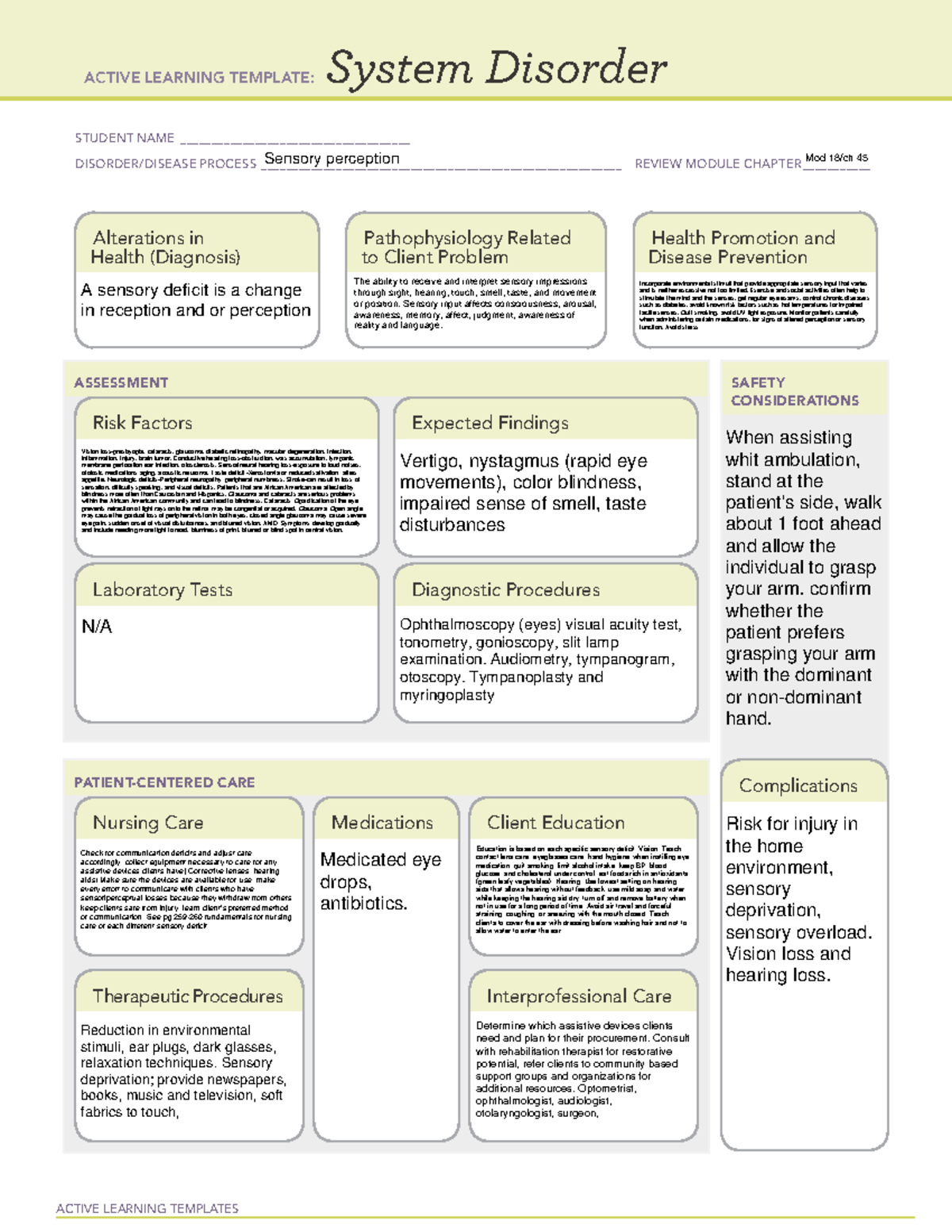 Sensory Perception Nursing Notes System Disorders ACTIVE LEARNING 