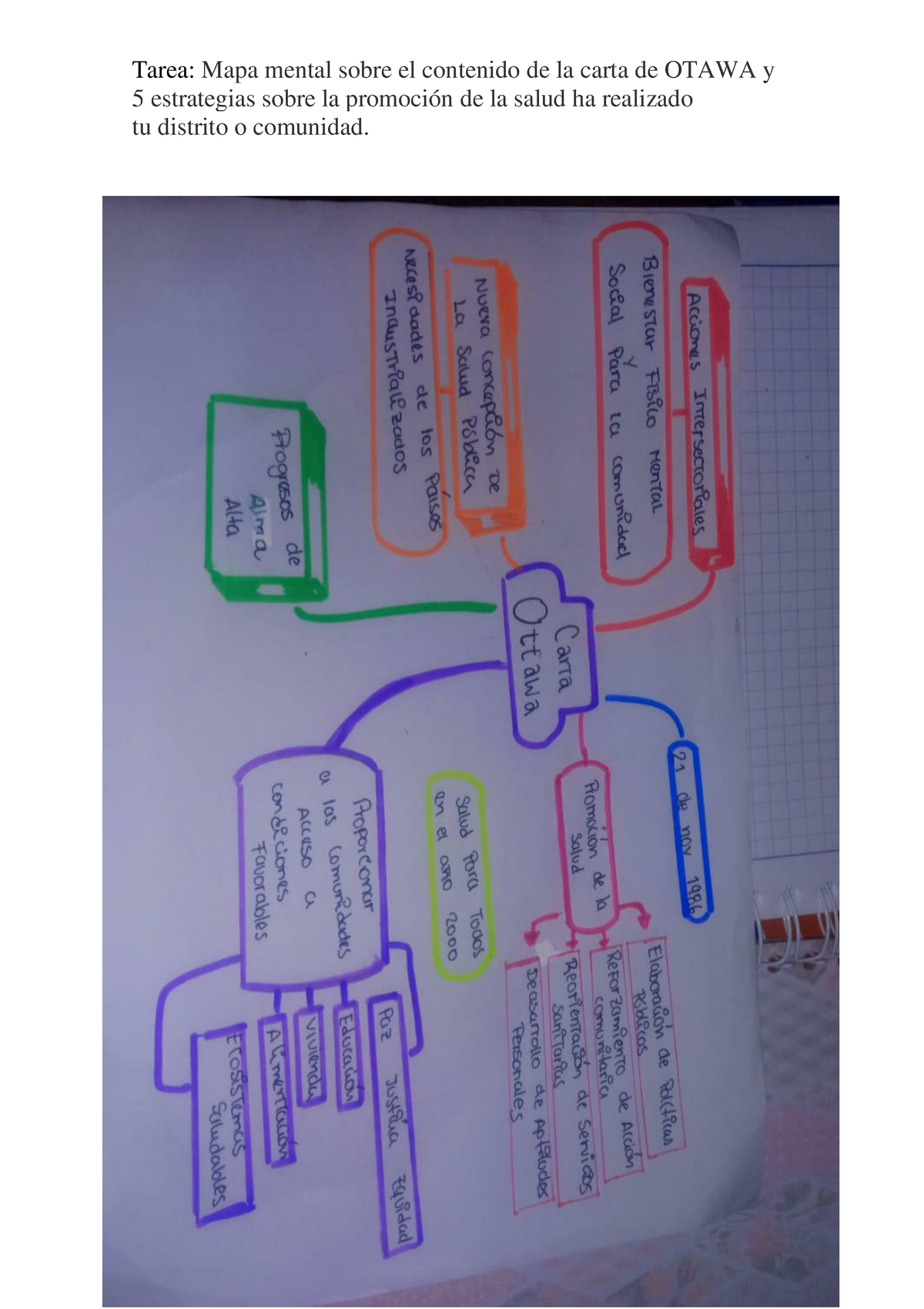 Mapa mental Carta ottawa y 5 estrategias sobre la promocion de la salud en  tu distrito - Pachacama - Studocu