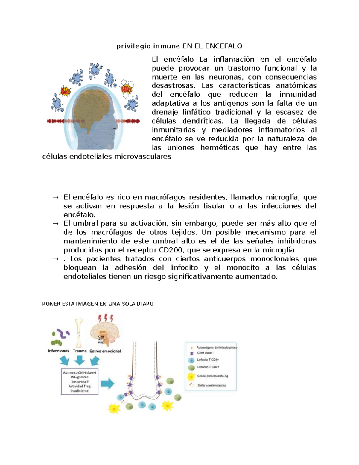 Privilegio Inmune En El Encefalo Privilegio Inmune En El Encefalo El Enc Falo La Inflamaci N