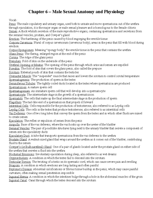 Chapter 2 Understanding Human Sexuality - Chapter 2 Understanding Human ...