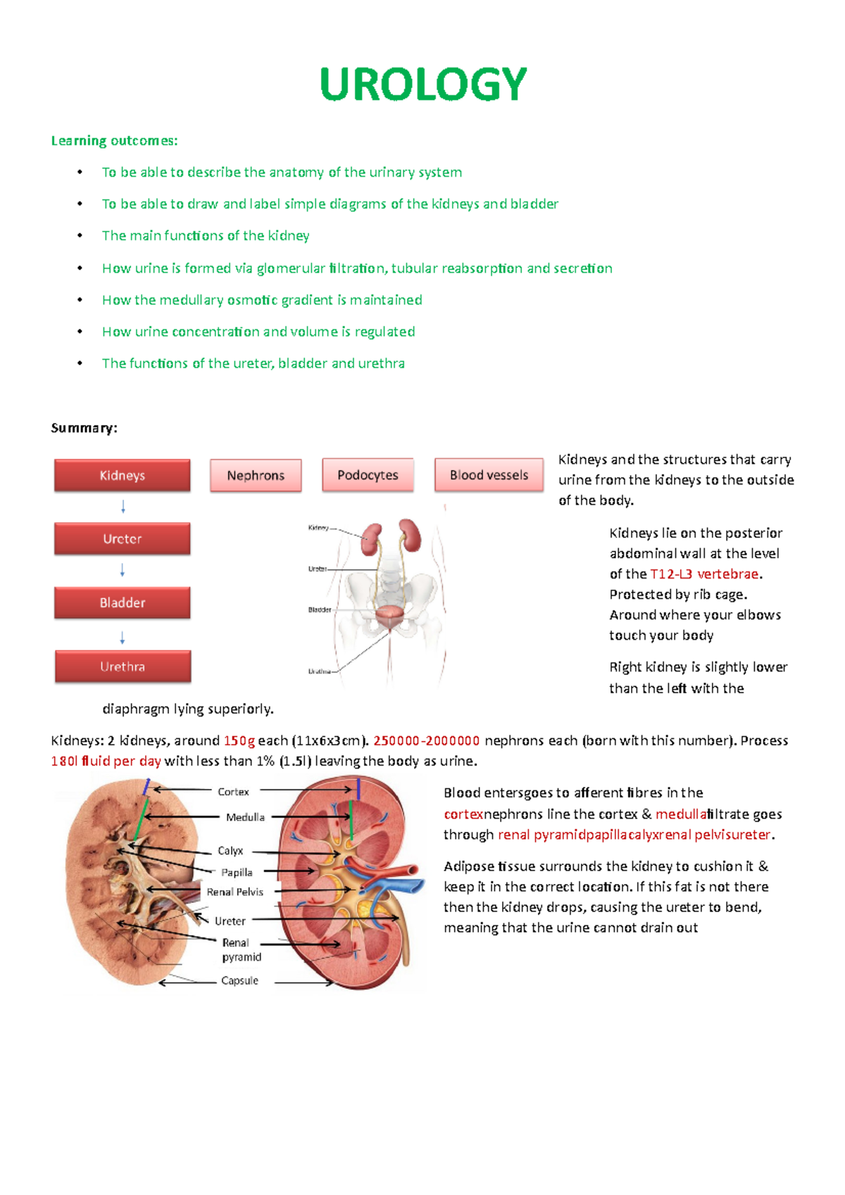 Urinary notes - UROLOGY Learning outcomes: To be able to describe the ...