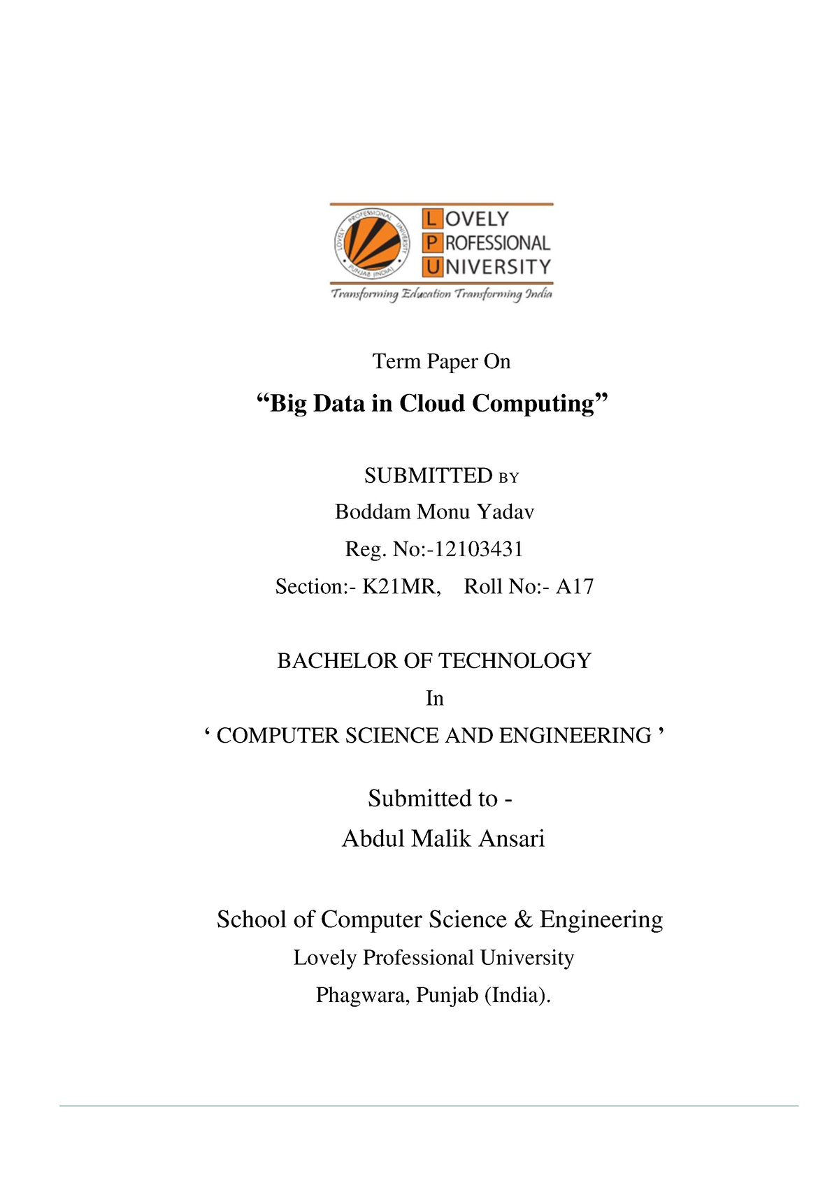 term paper on big data