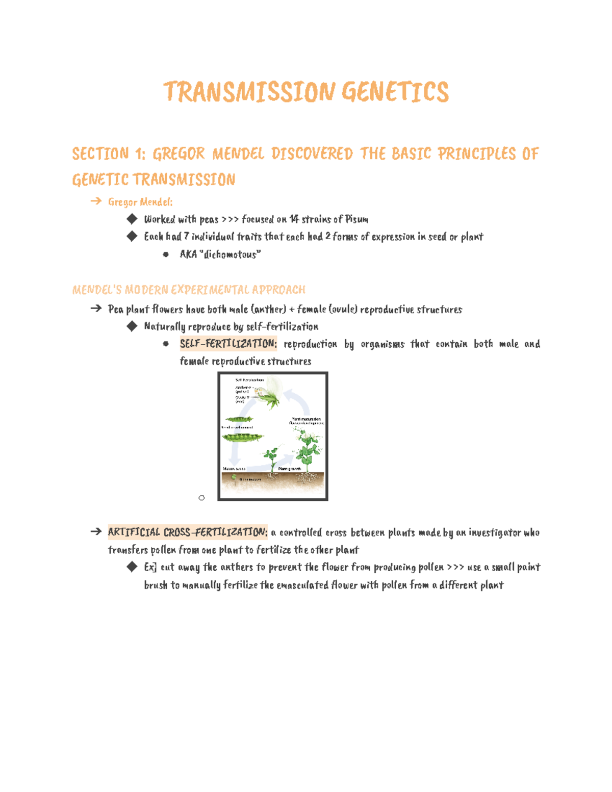 Transmission T󰈤A󰈯S󰈲󰈾󰈟S󰈽O󰈰 󰉁󰉋N󰉈󰈜I󰉎S SE󰉑󰈙󰈾󰈭N 1 G󰈤E󰉁󰈮R ME󰈰󰉌󰉋L