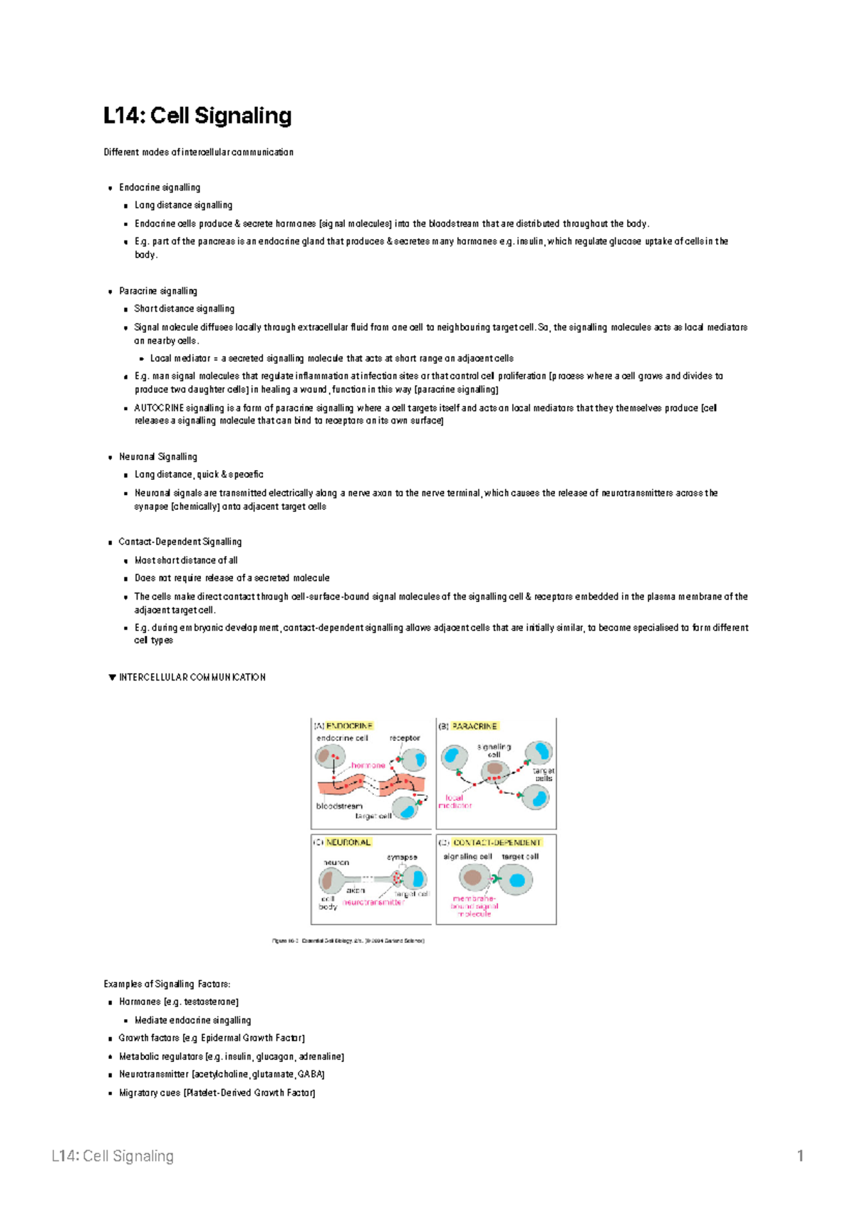 L14 Cell Signaling - Lecture notes 14 - L14: Cell Signaling Different ...