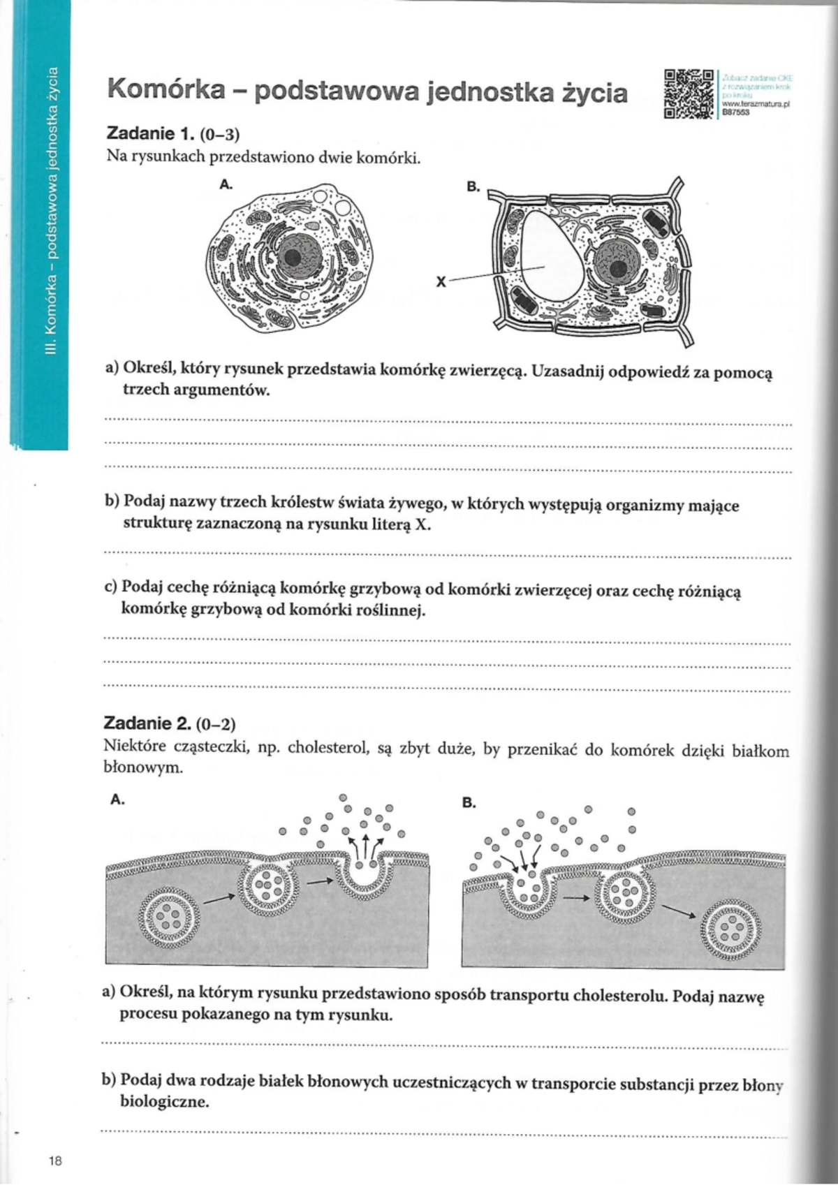 Maturalne Karty Pracy Biologia 1 Odpowiedzi www.studocu.com