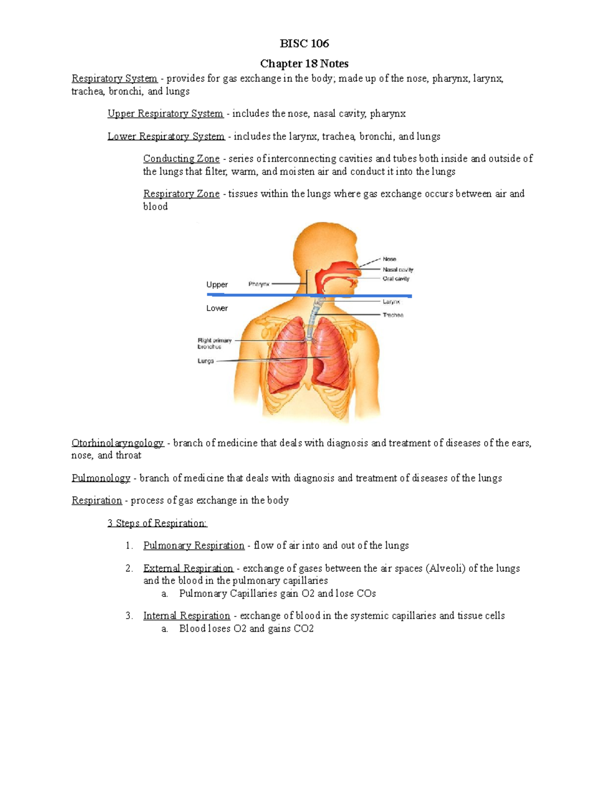 Ch 18 Notes - Aldred Williams - Chapter 18 Notes Respiratory System ...