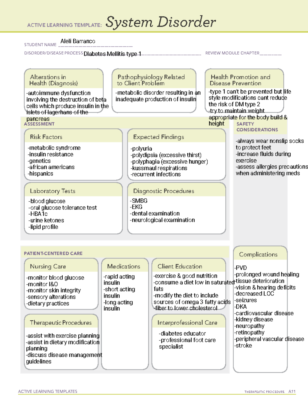 DM TYPE 1 - information of DM TYPE 1 - ACTIVE LEARNING TEMPLATES ...