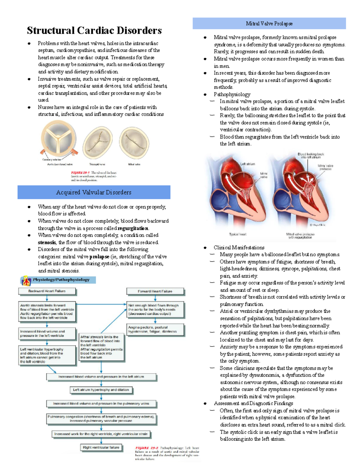 Structural-Cardiac-Disorders-Transes - Structural Cardiac Disorders ...