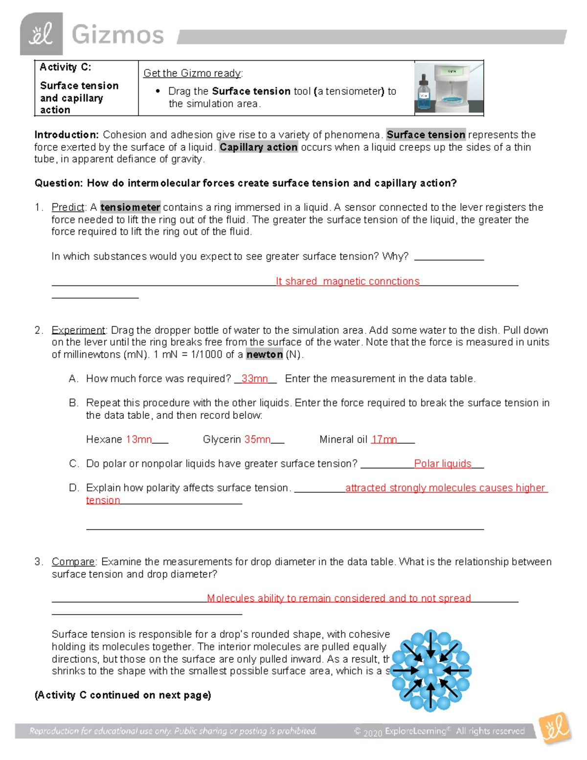 Gizmo Sticky Molecules Activity C 2020 Activity C Surface Tension And Capillary Action Get 3954