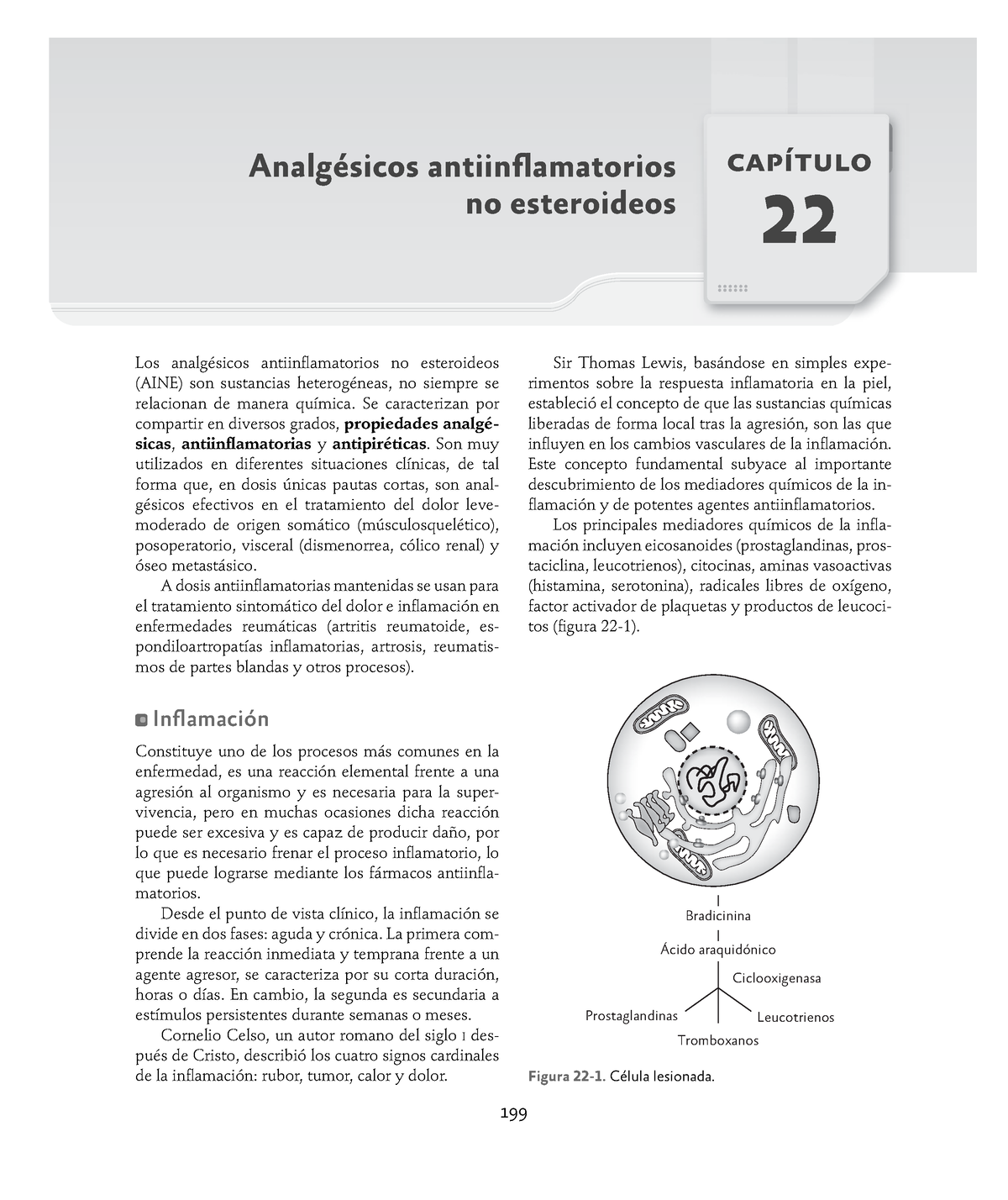 Dolor Analgésicos Y Antiinflamatorios - Analgésicos Antiinflamatorios ...