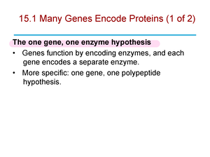 Genetics Chapter 15 - Powerpoints - 15 Many Genes Encode Proteins (1 Of ...