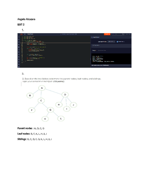 01 Lab Alcazara, Angelo - Identify three (3) high-level principles that ...
