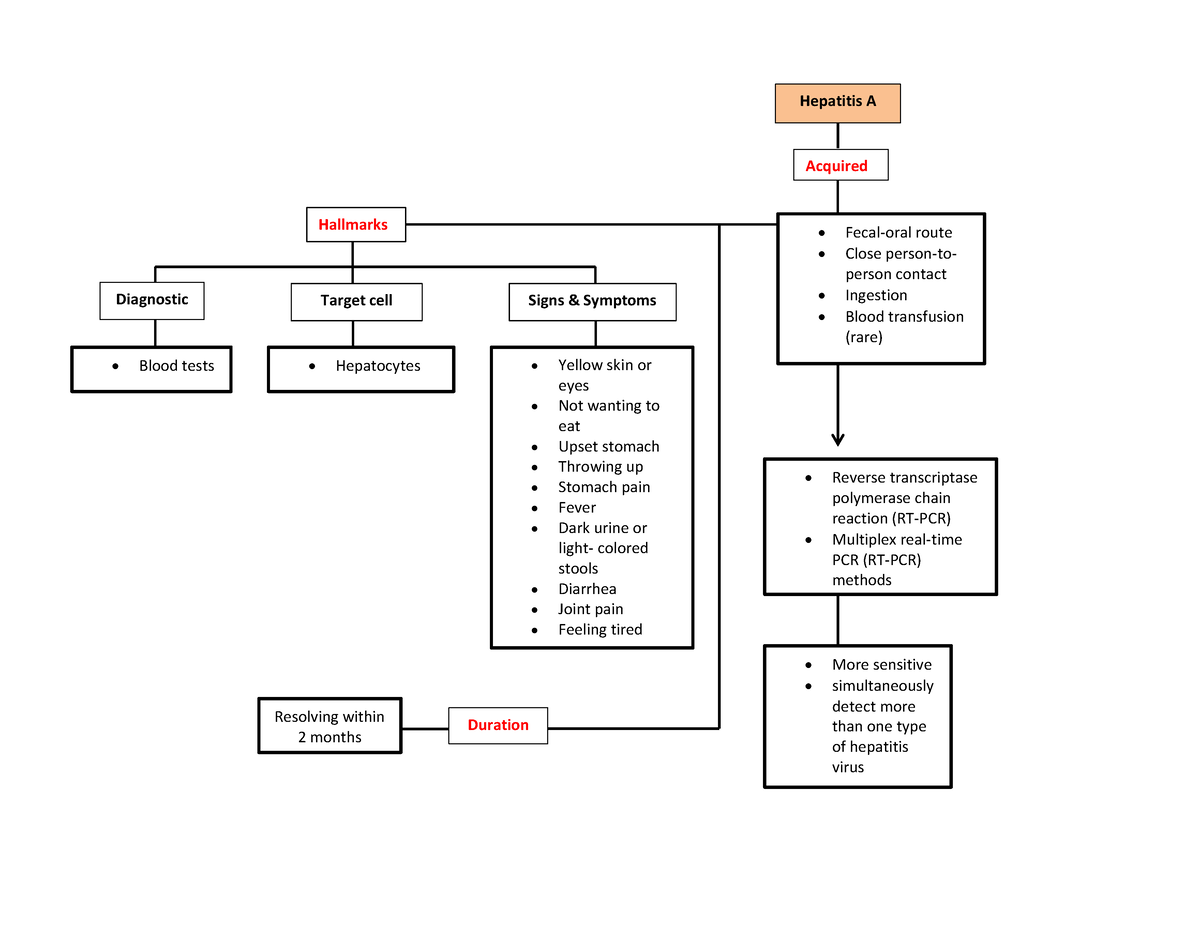 Hepatitis Concept Map Hepatitis A Fecal Oral Route Close Person To Person Contact Ingestion 1733