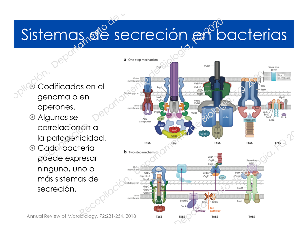 Sistemas Secrecion 2020b Sistemas De Secreción En Bacterias Annual Review Of Microbiology 6292