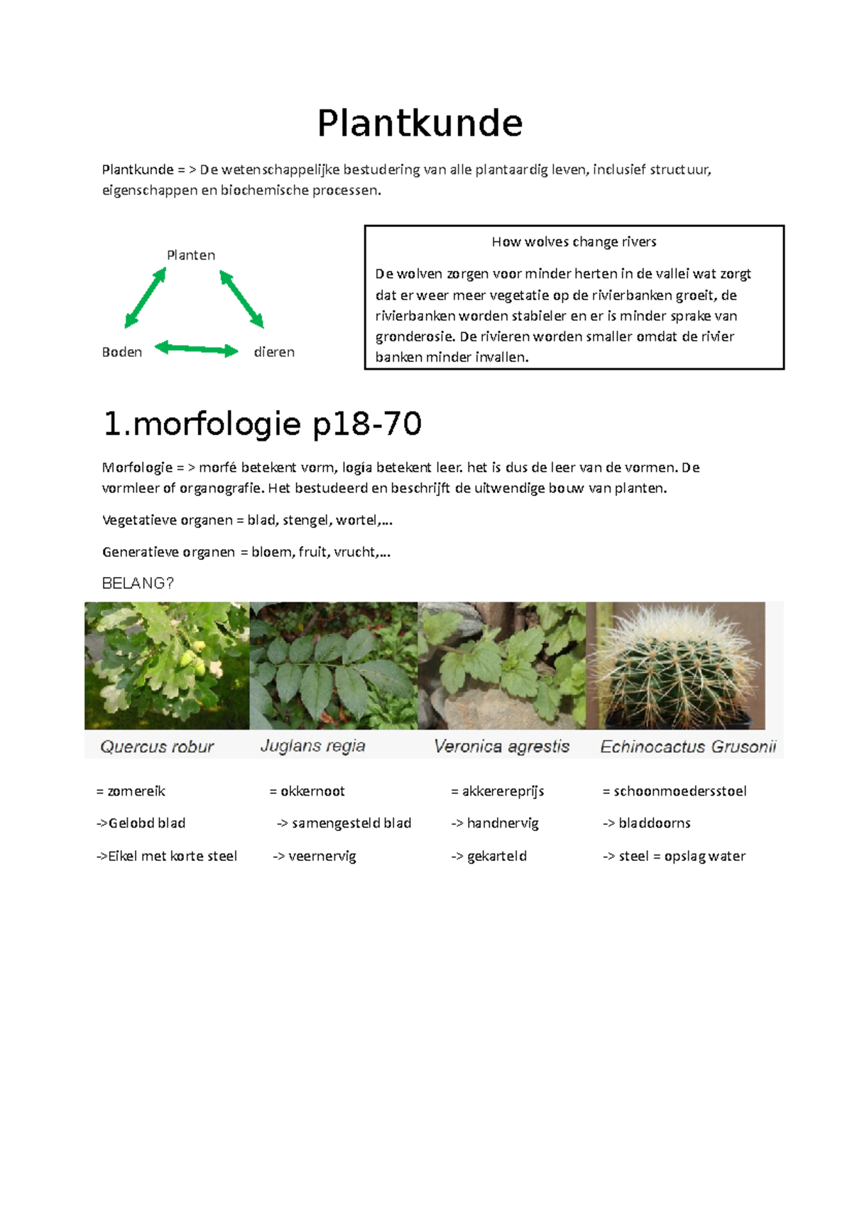 Plantkunde - Oefenmateriaal - Plantkunde Plantkunde = > De ...