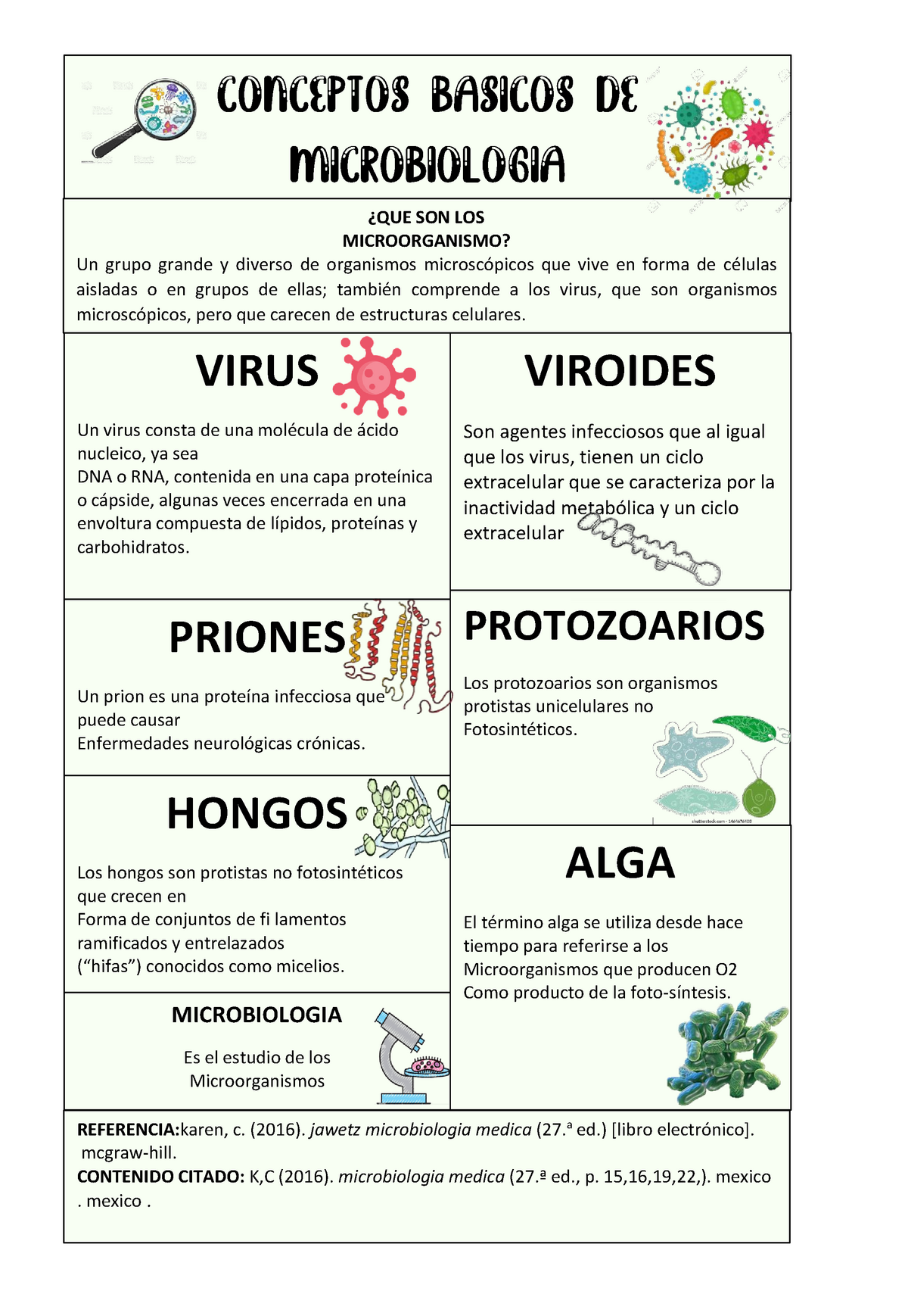 Infografia Micro Biologia ¿que Son Los Microorganismo Un Grupo Grande Y Diverso De Organismos 