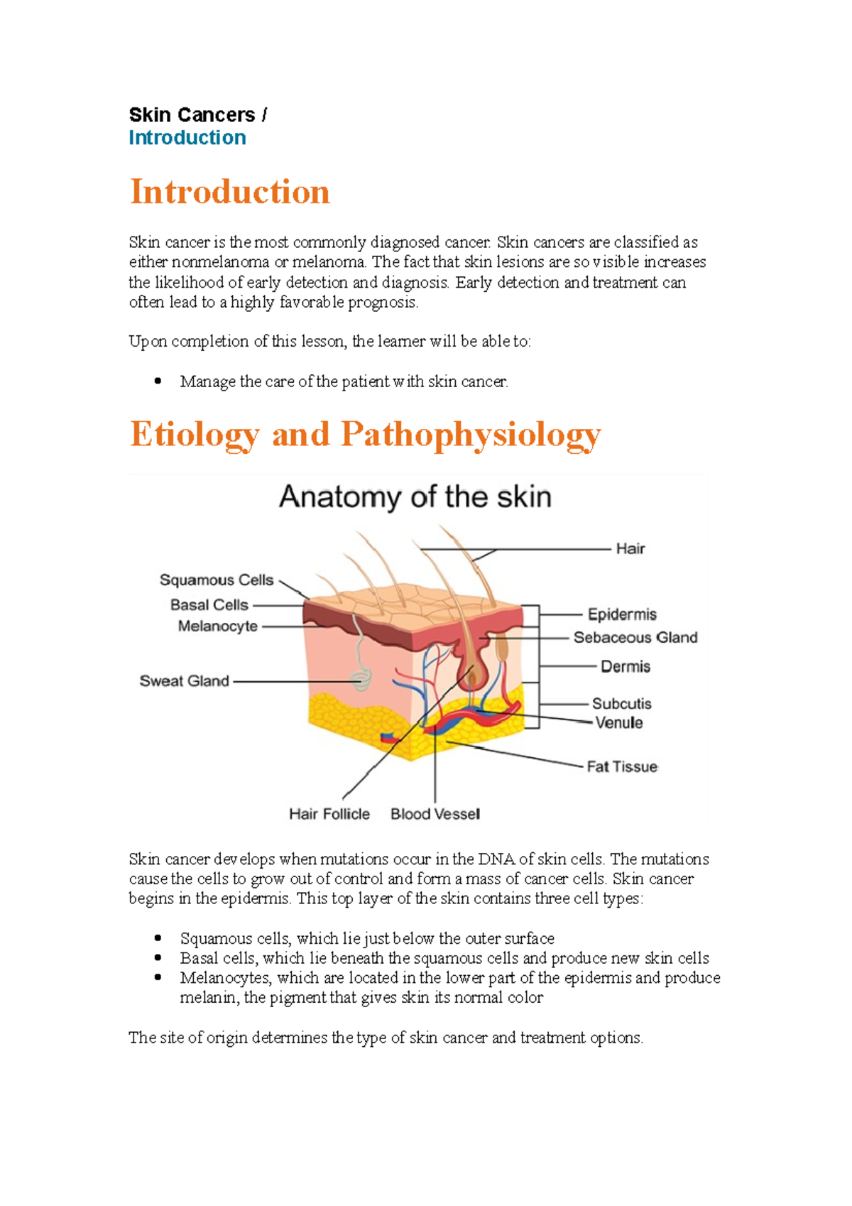 Skin Cancers Sherpath Skin Cancers / Introduction Introduction Skin