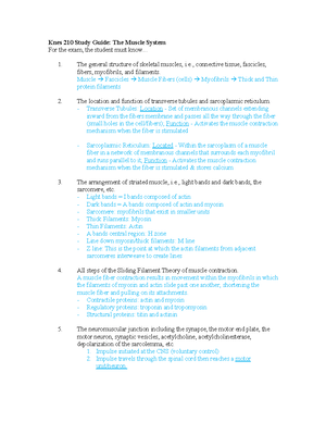 Chapter 4 pt. 1 notes BIO 210 - Primary Tissue Classes Name ...