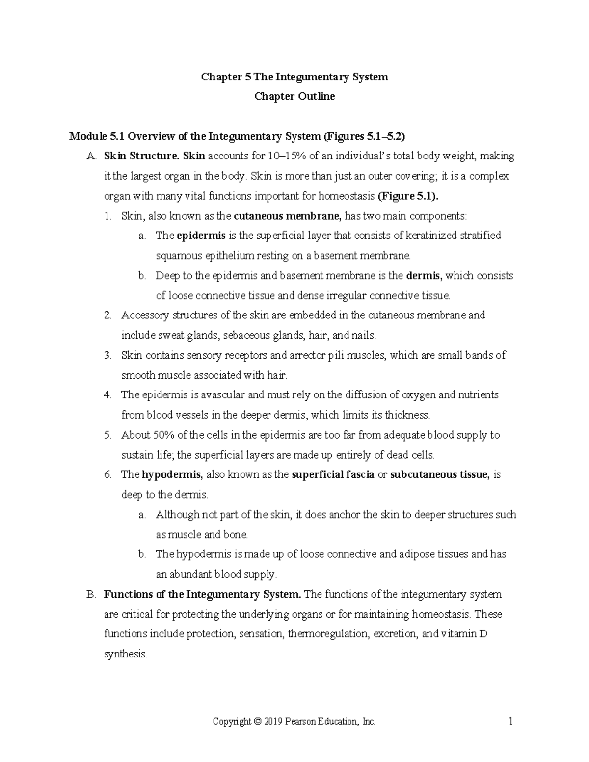 Chapter+5+Outline - Chapter outline - Chapter 5 The Integumentary ...