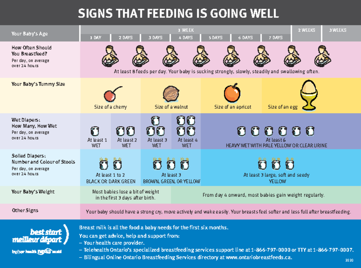 Signs that the feeding is going well - SIGNS THAT FEEDING IS GOING WELL ...