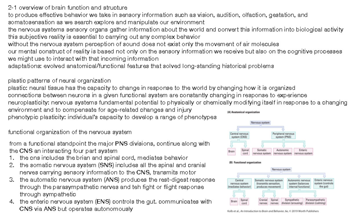 Chapter 2 What Is The Nervous Systems Functional Anatomy - 2-1 Overview ...