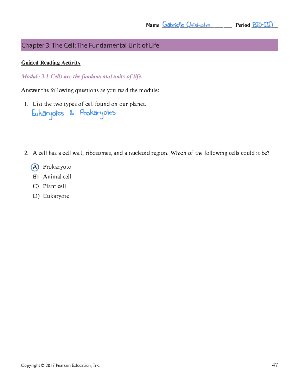 Annotated-Chapter%203%20reading%20guide - Name ...