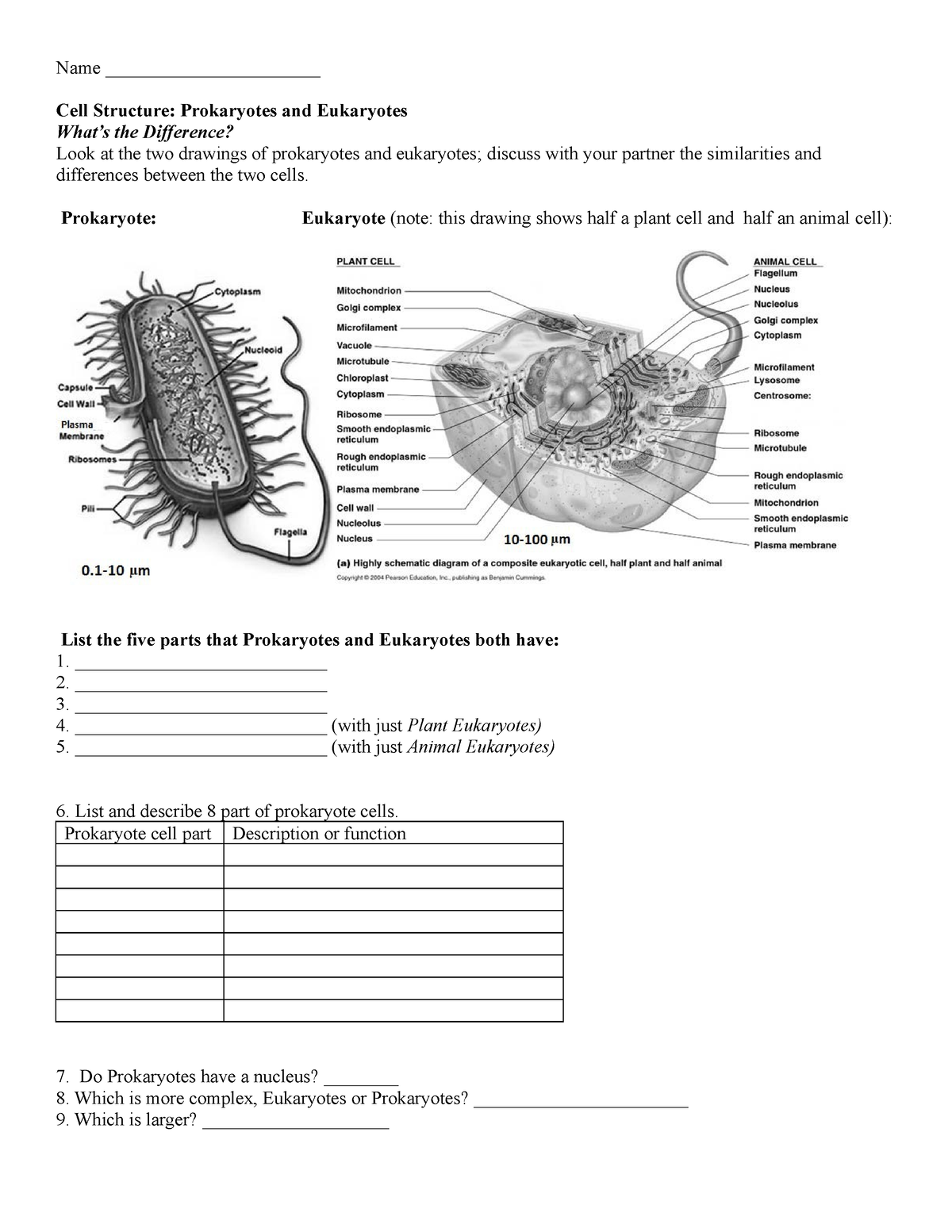 Wksht-prok Euk - Worksheet - Name _______________________ Cell ...