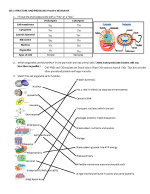 Cell Structure Practice - CELL STRUCTURE AND PROCESSES Practice Worksheet  Fill out the chart about - Studocu
