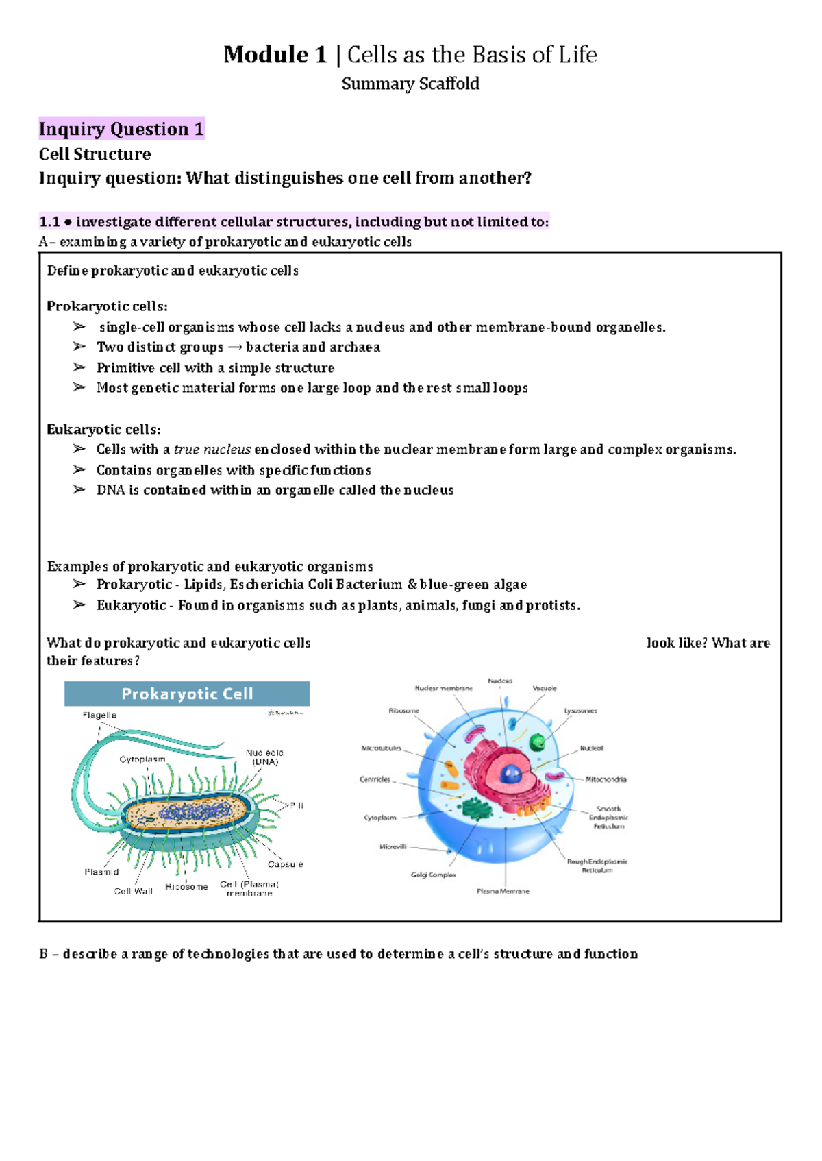 Module 1 Cells as the Basis of Life Notes Scaffold - Module 1 | Cells ...