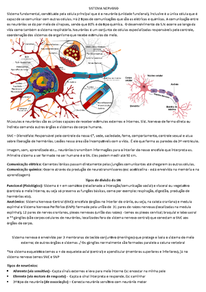 (31)994408961- Resolvido-Atividade Prática Anatomia E Fisiologia Humana ...