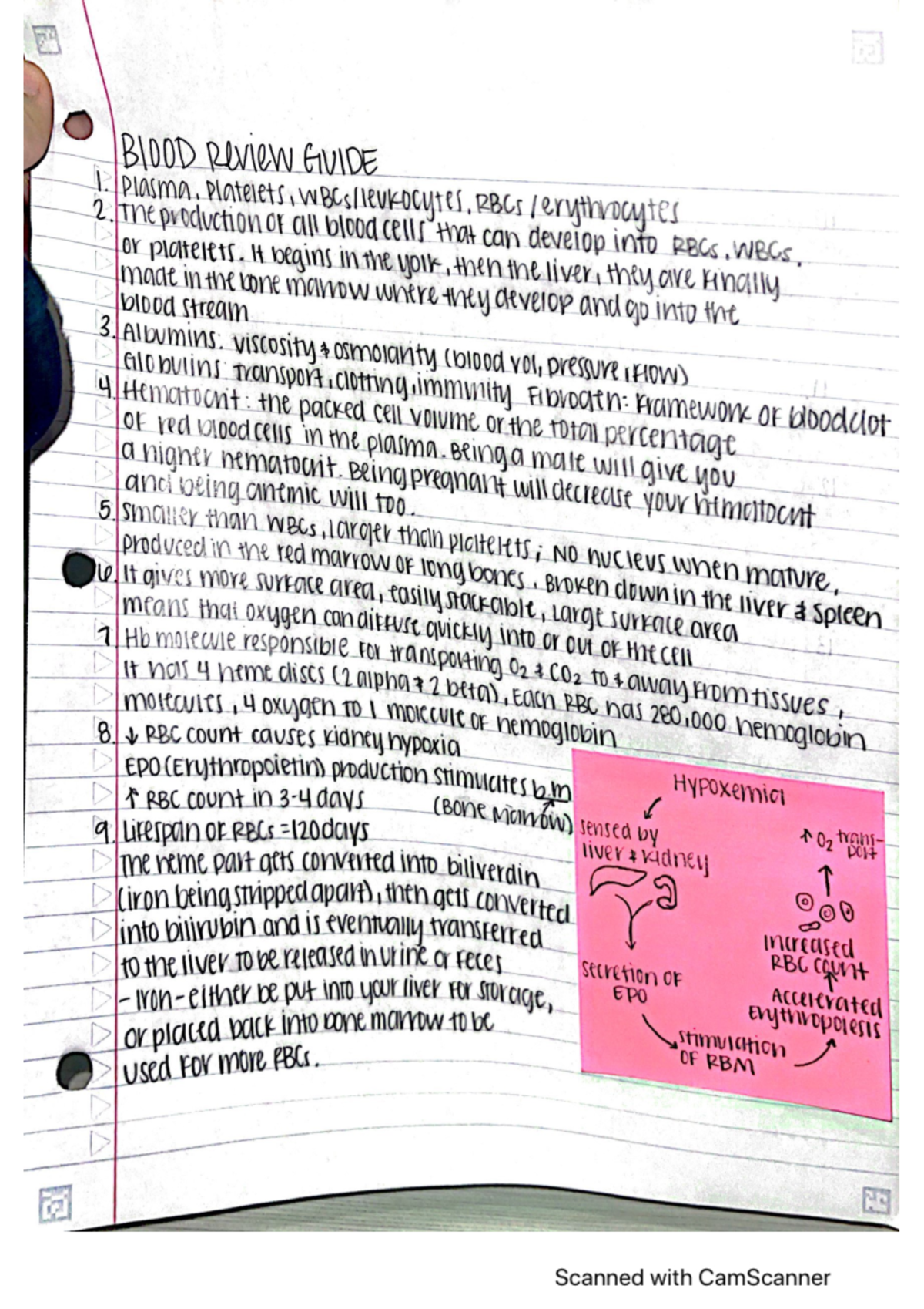 Blood review guide - BIO-202 - Studocu