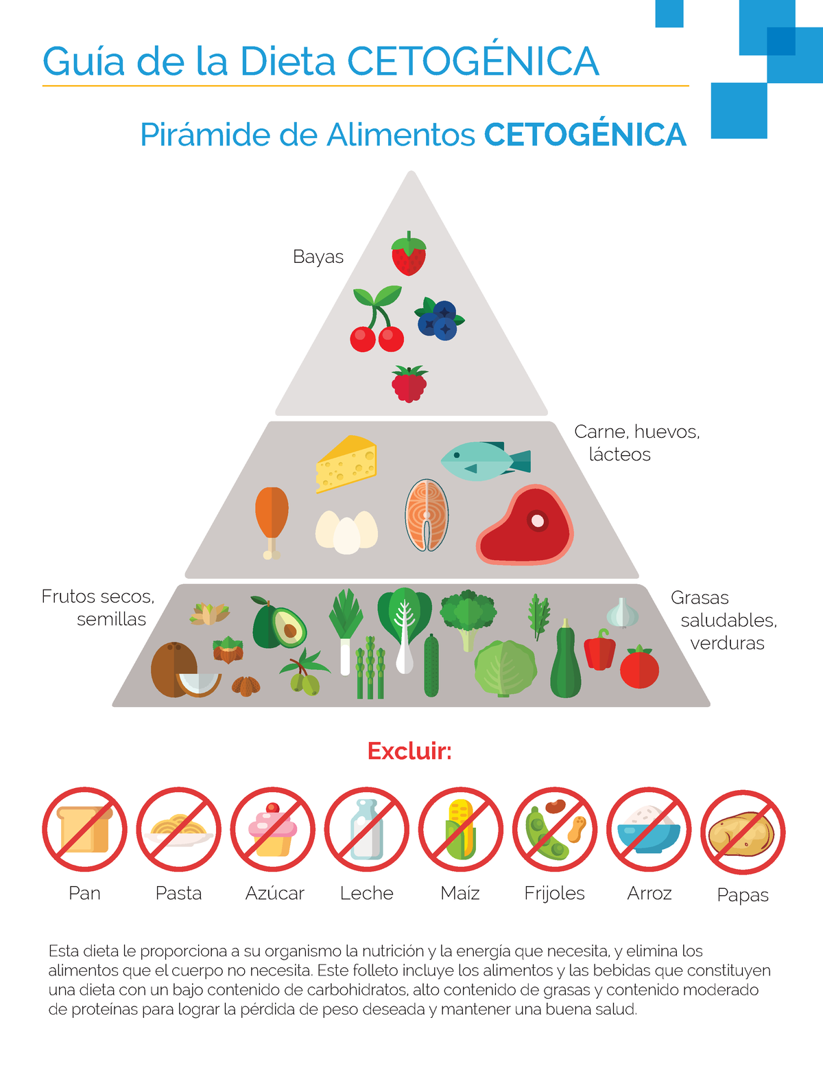 Keto Diet Guide Brochure Sp Guía De La Dieta CetogÉnica Pirámide De Alimentos CetogÉnica Bayas 9855