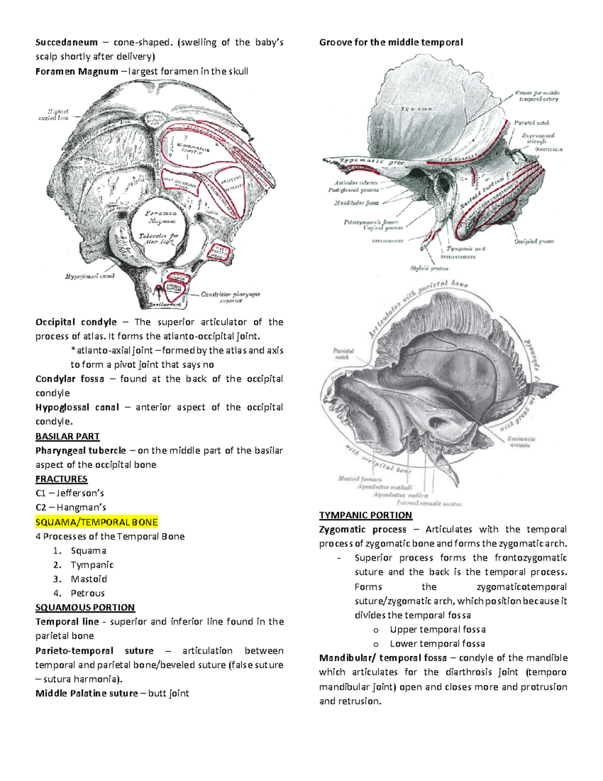 Cranial- Bones - Lecture notes 1 - Succedaneum – cone-shaped. (swelling ...