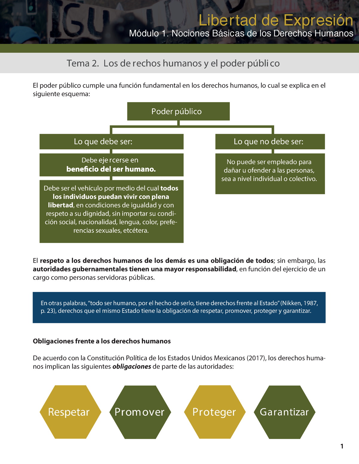 Los Derechos Humanos Y El Poder Publico - Libertad De Expresión Módulo ...