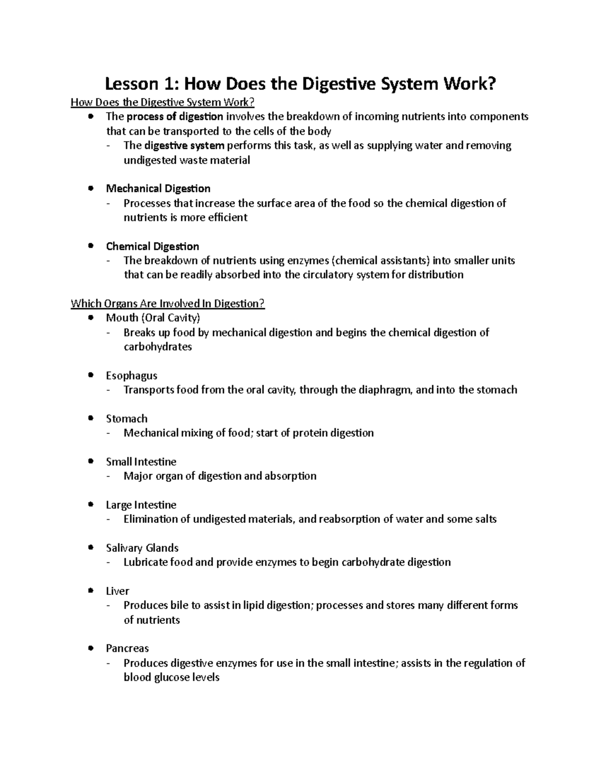 Lesson 1 How Does the Digestive System Work - Studocu