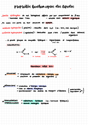 UE1 - Biochimie - Cours 4 Acides Aminés Et Peptides ...