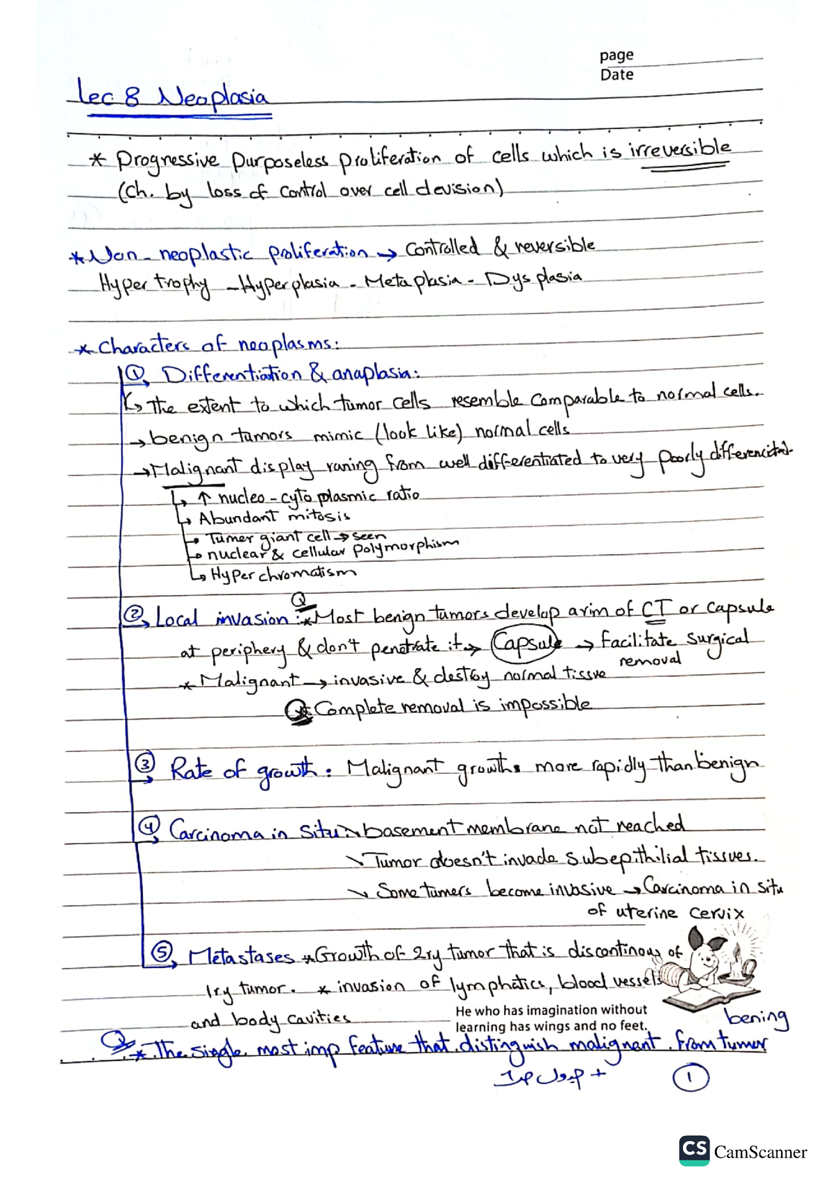 Lec 8 - Physiology Lecture - Camscanner Camscanner - Studocu