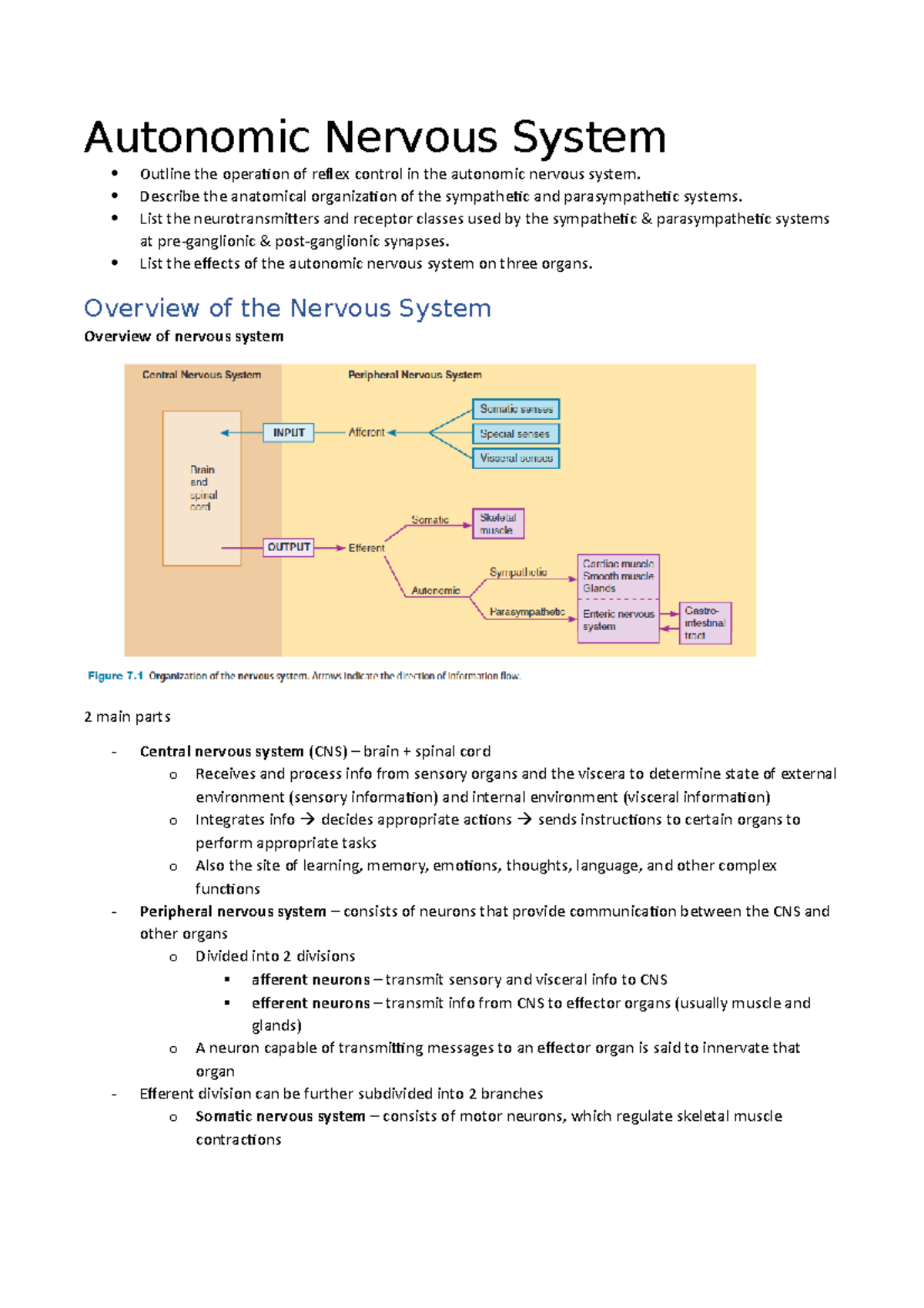 Write Short Note On Autonomic Nervous System