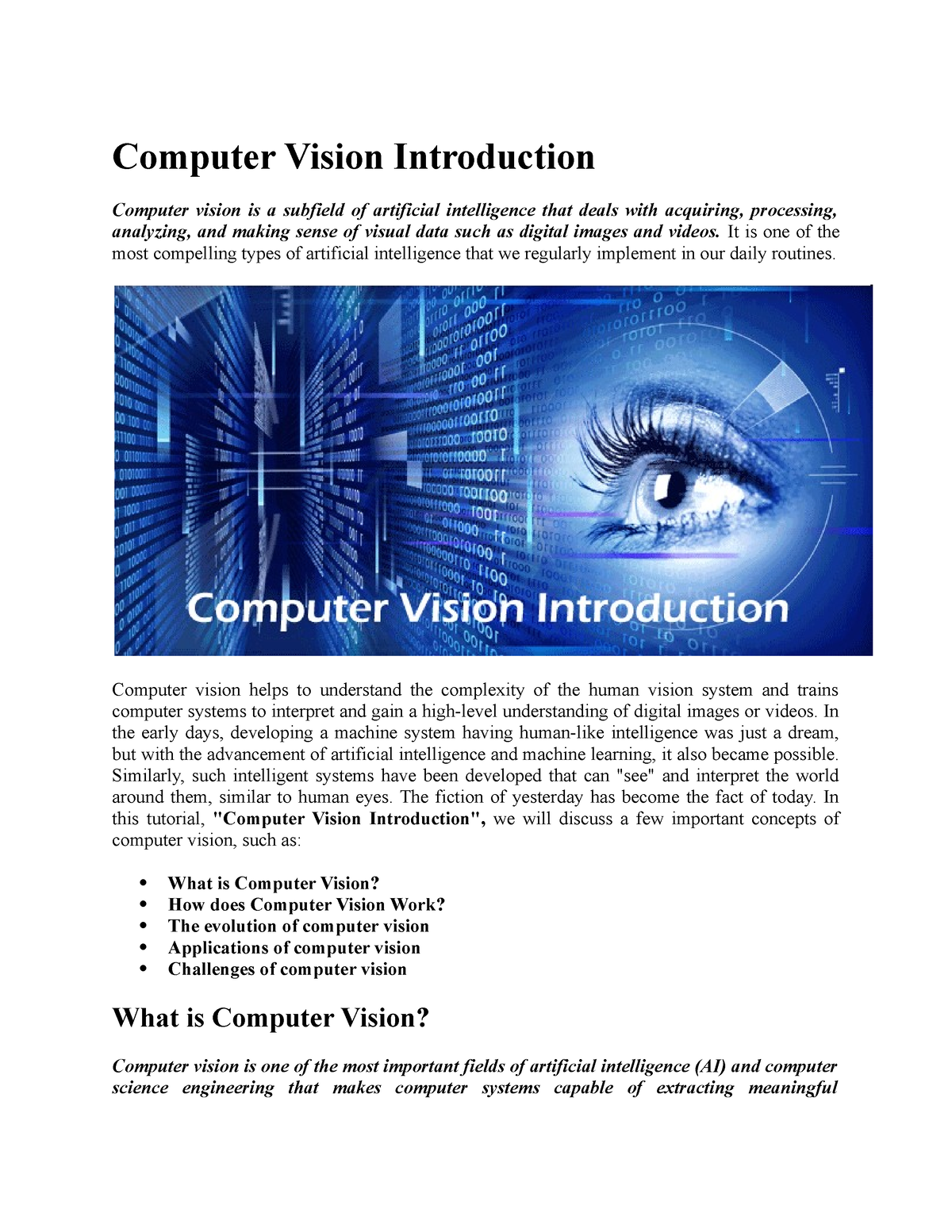 Computer Vision Introduction - Computer Vision Introduction Computer ...