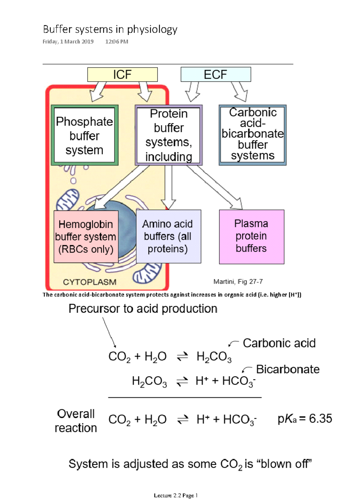 Lecture 2.2 LFS251 - Buffer systems in physiology Friday, 1 March 2019 ...