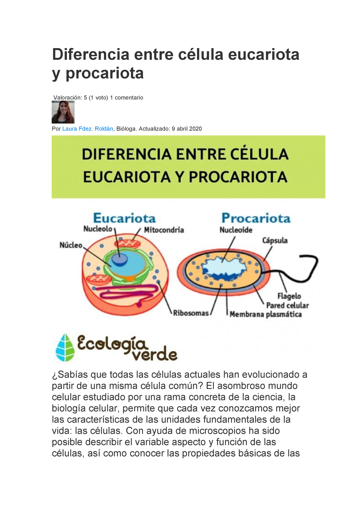 Diferencia Entre Célula Eucariota Y Procariota - Diferencia Entre ...