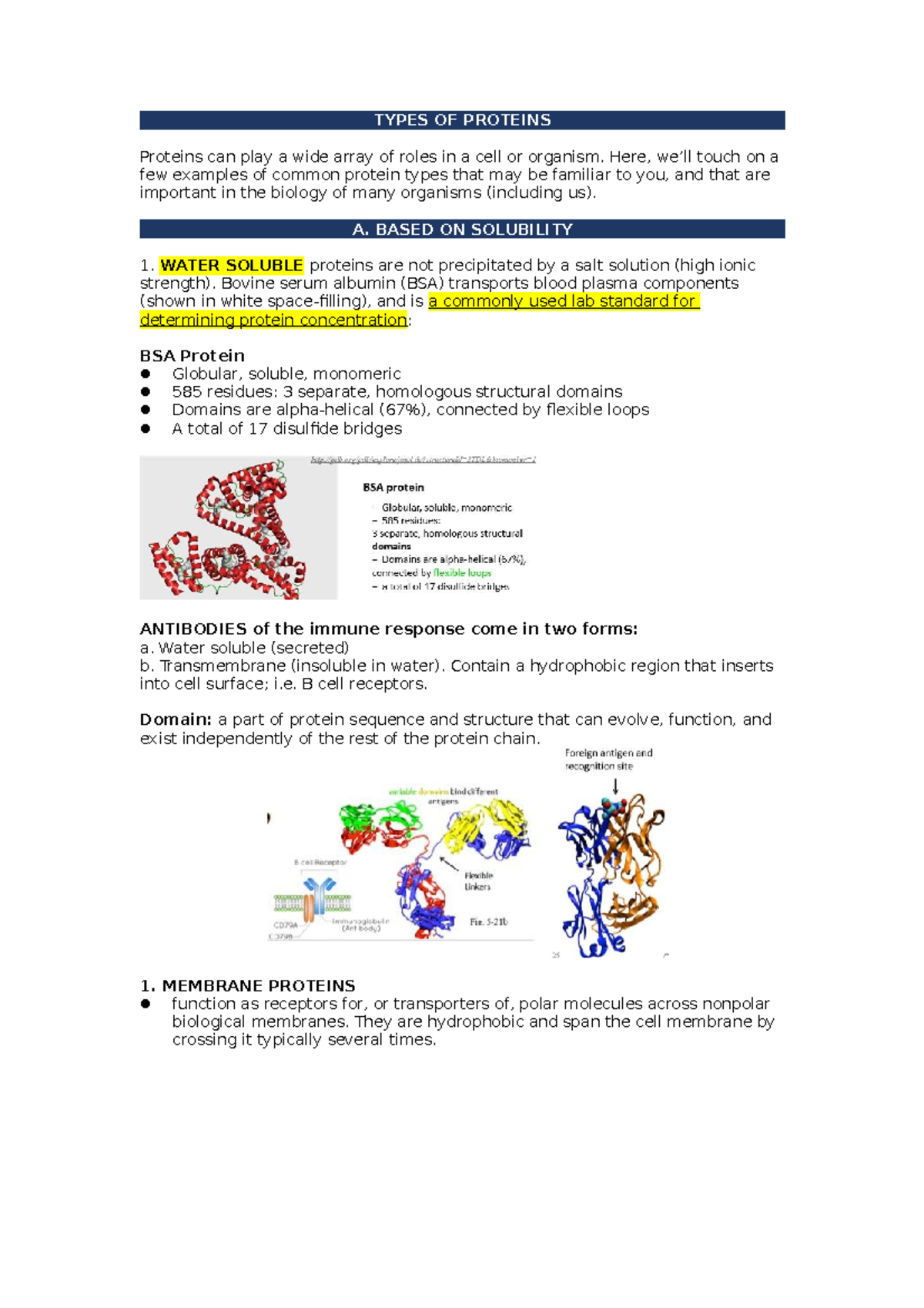 Types OF Proteins - a. based on solubility b. based on shape c. based ...
