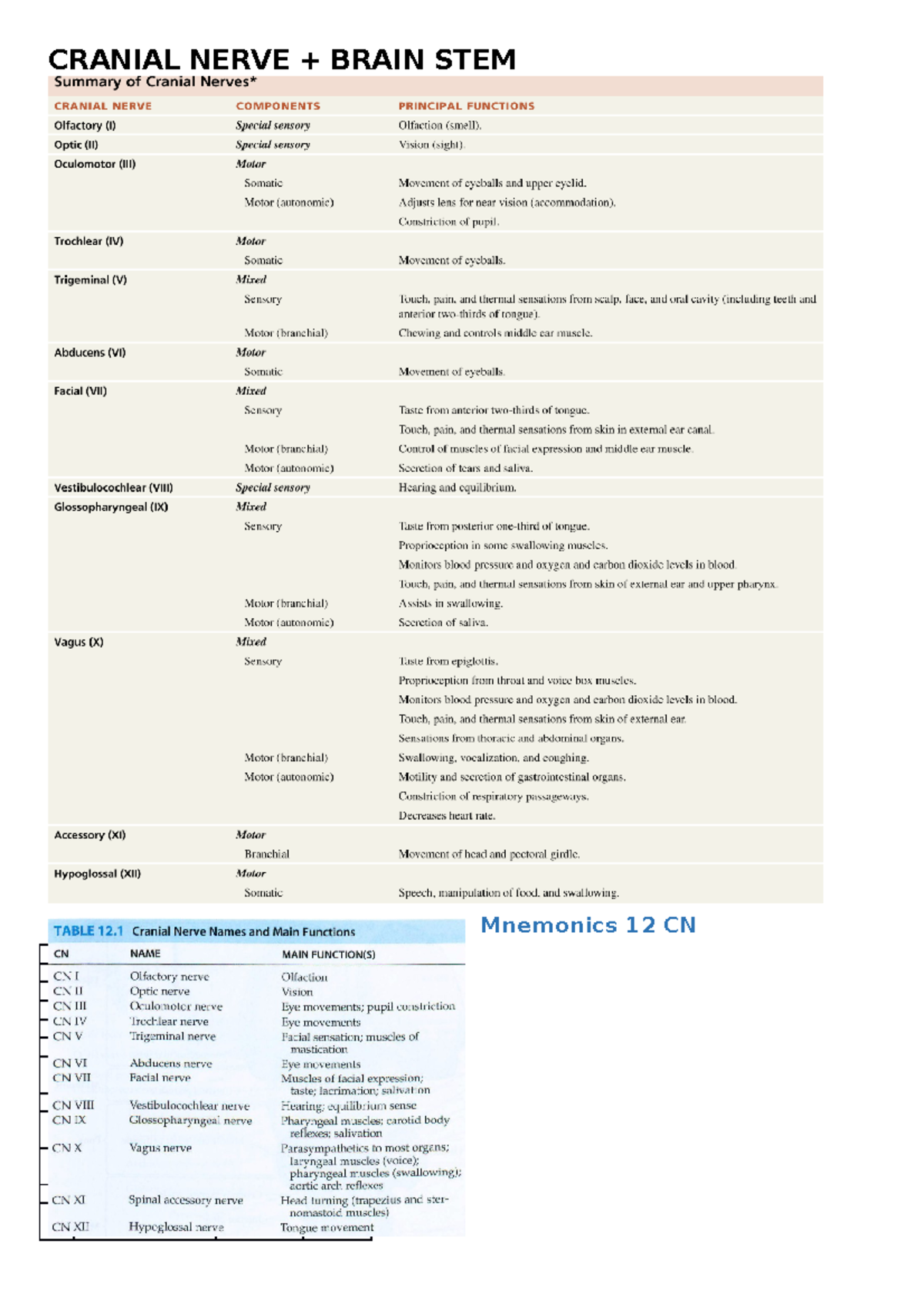 Cranial Nerves Summary - CRANIAL NERVE BRAIN STEM Mnemonics 12 CN 1 2 3 ...