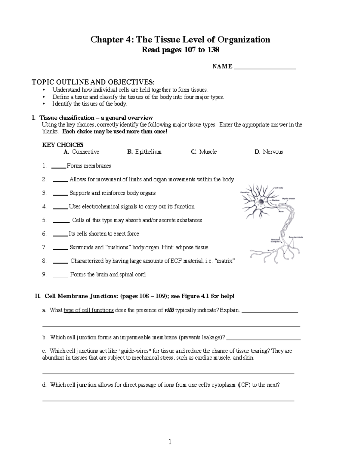 Homework-4 compress - Math homework. - Chapter 4: The Tissue Level of ...