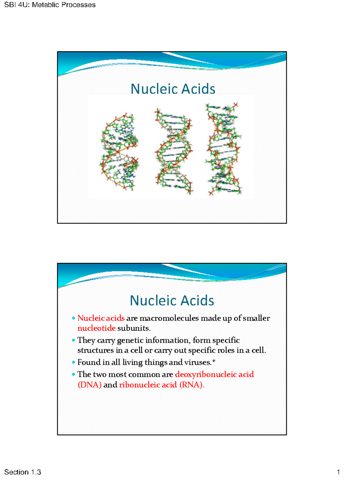 Nucleic Acids Reveiw Nucleic Acids Nucleic Acids u00 Nucleic acids