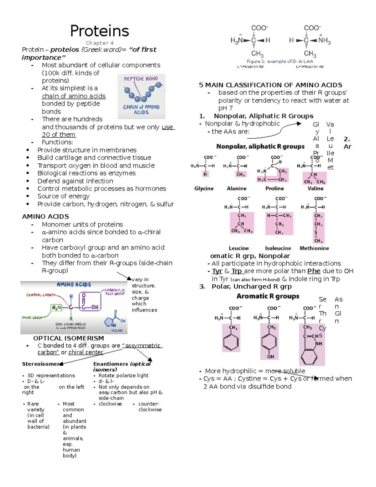 CH4-Proteins final - Reference from CSM - Chemistry Department ...