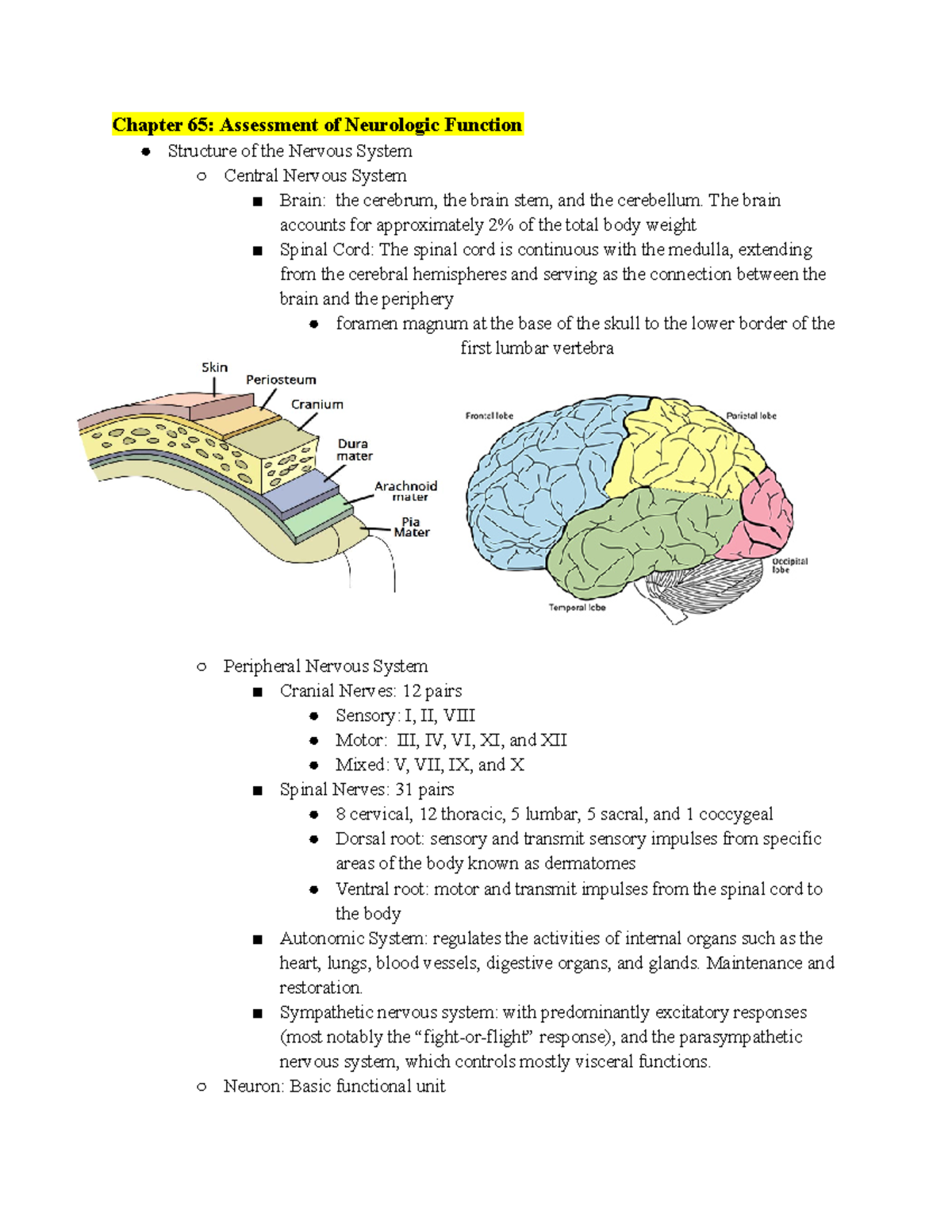 Medsurg Neuro Study Guide - Chapter 65: Assessment of Neurologic ...