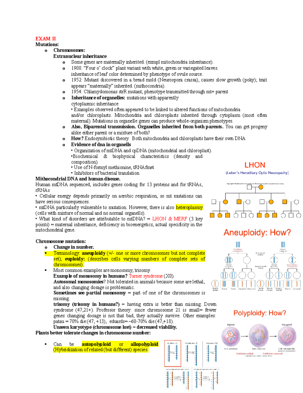 Bio 345 EXAM II summary - EXAM II Mutations: o Chromosomes ...