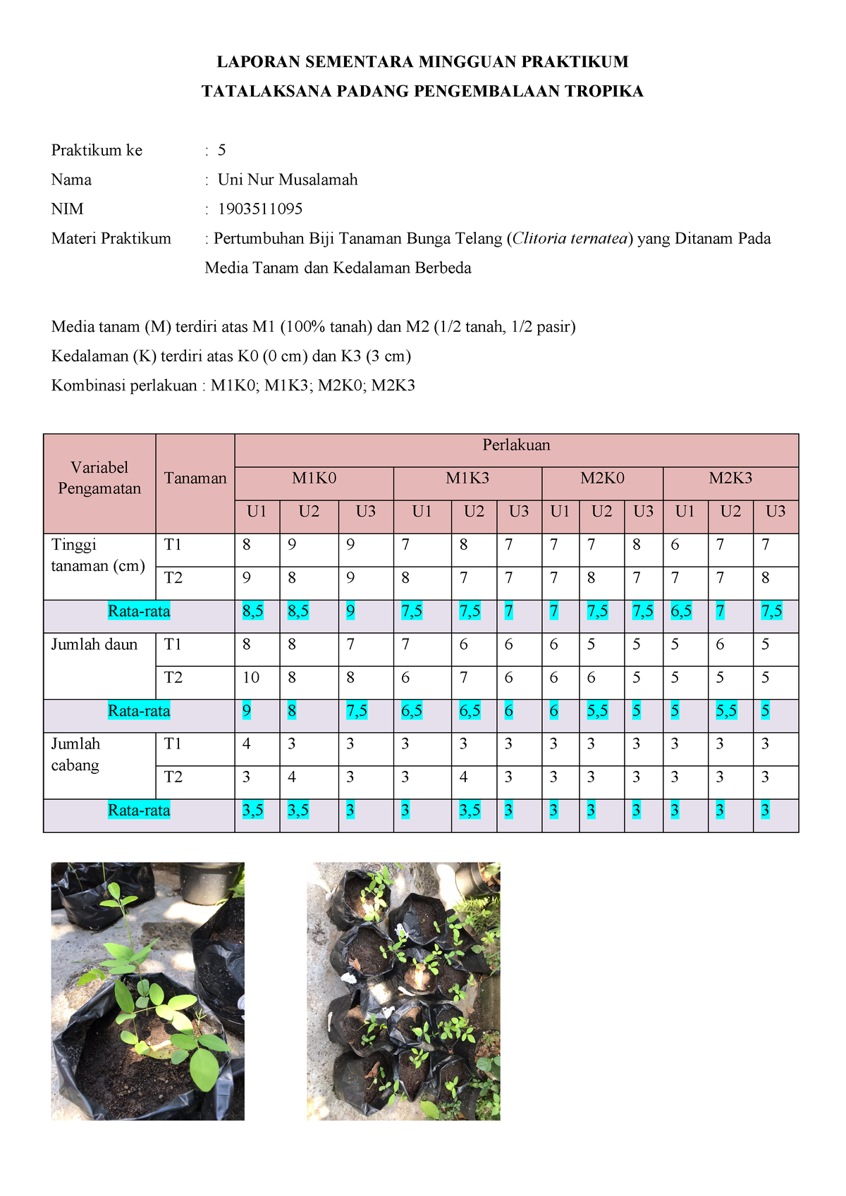 1903511095 Uni Nur Musalamah Kelas B Laporan Praktikum Sementara Minggu ...