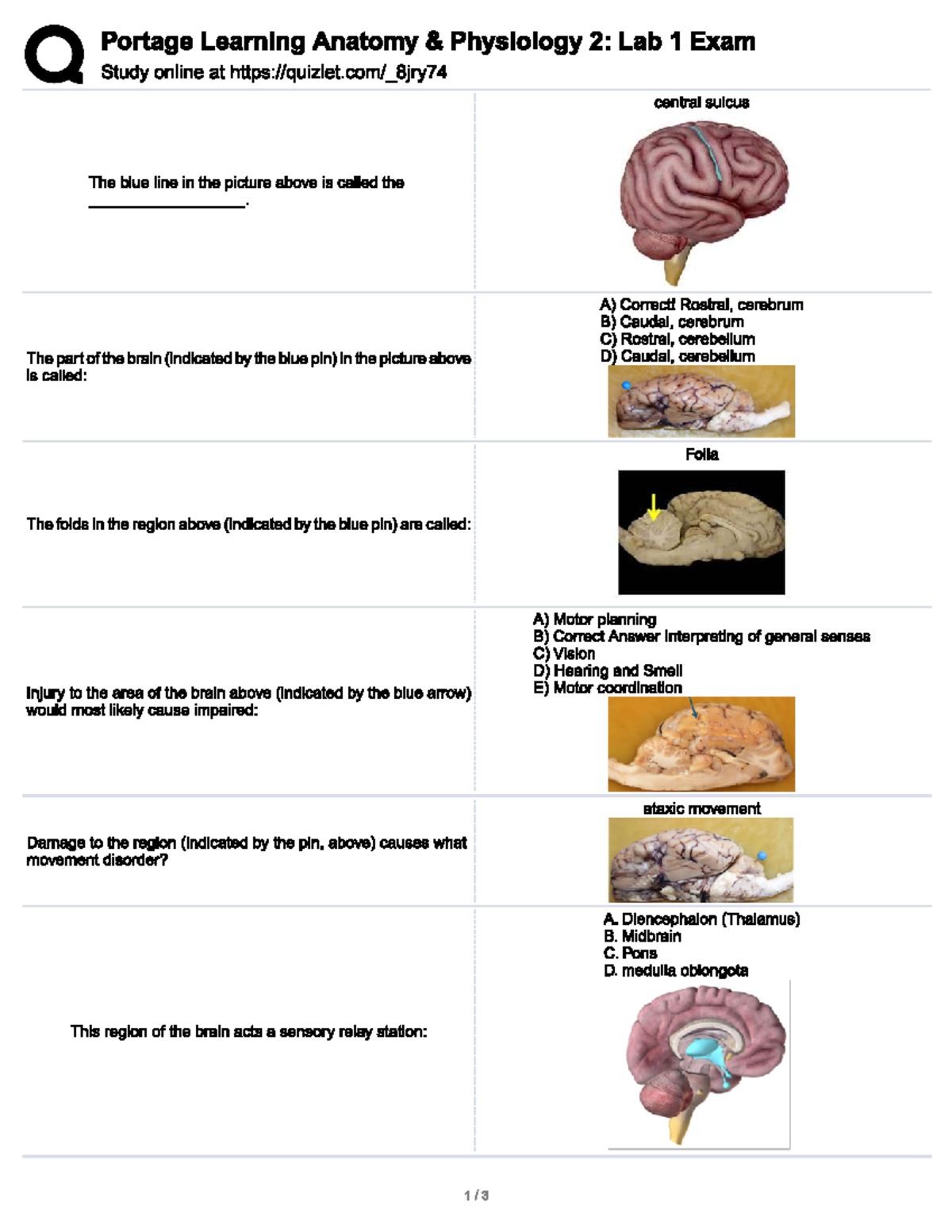 BIOD 151 L1E - Study guide - BIL 150 - Studocu